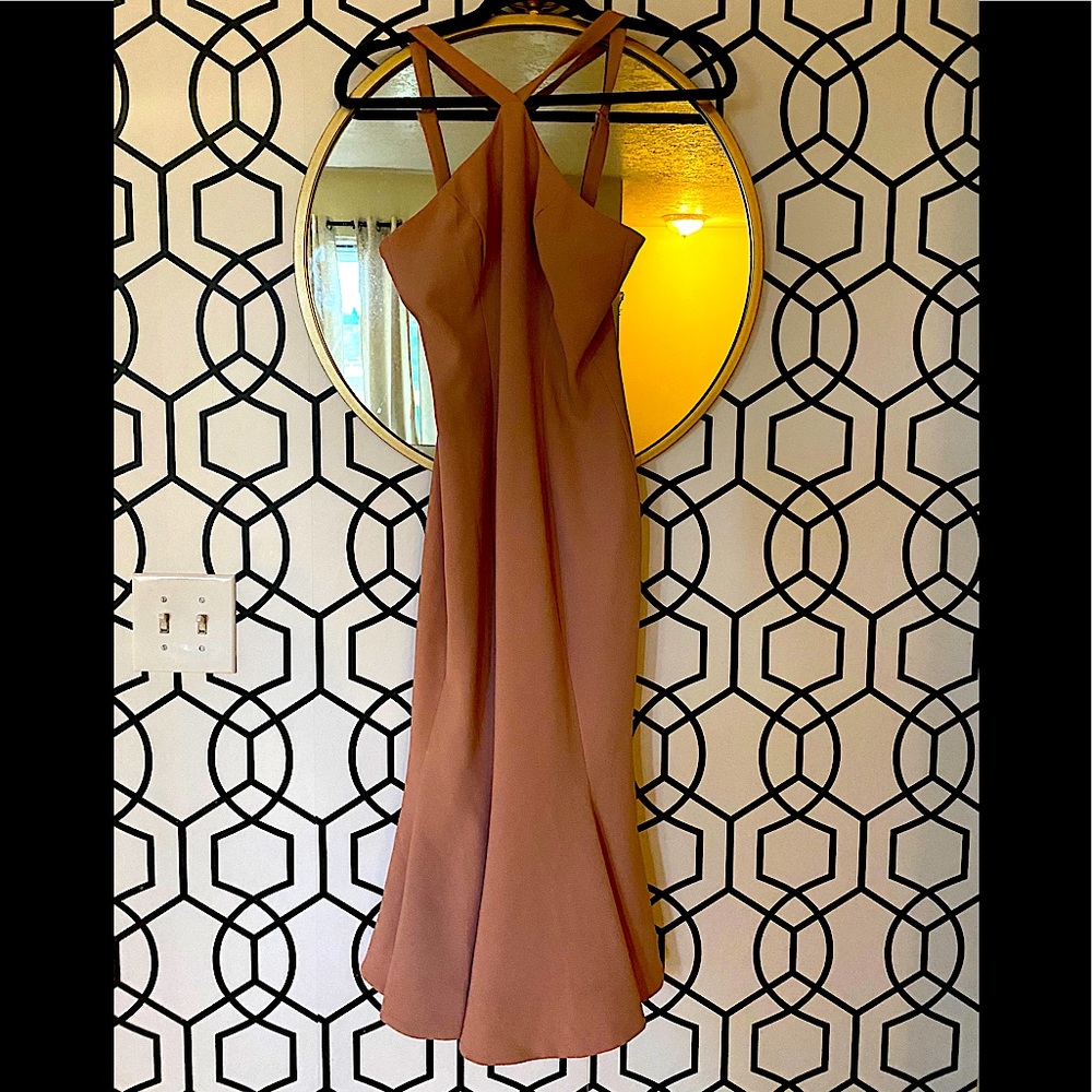 Dress The Population Dusty Rose Mermaid MIDI